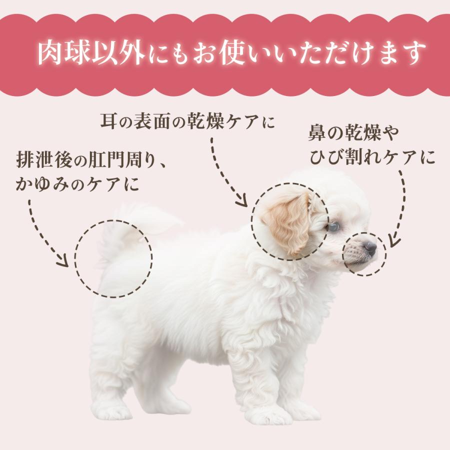 肉球 オイル 舐めても安心 保湿 ひび割れ 乾燥対策 犬 猫 ペット わんこ肌荒れ予防 アルガン配合 日本製 無添加 ペット 犬 猫 足裏ケア 肉球保護 国産 |  | 09