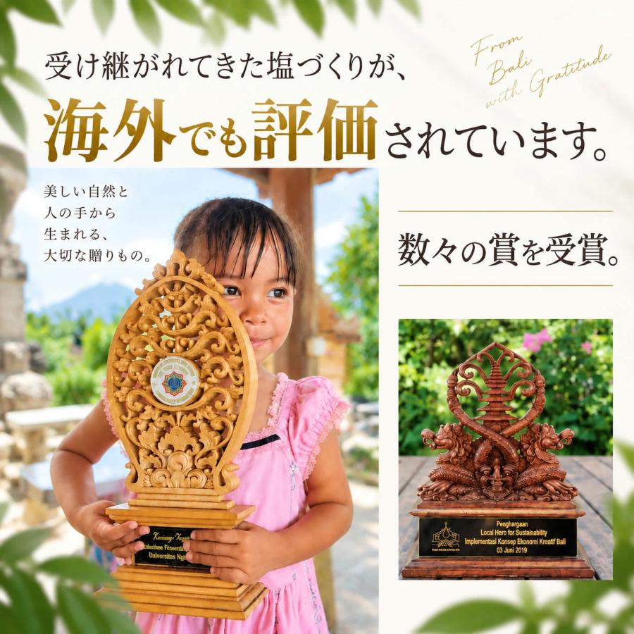 内科医 監修 天然塩 天日塩 無添加 オーガニック 非加熱 国産 にはない