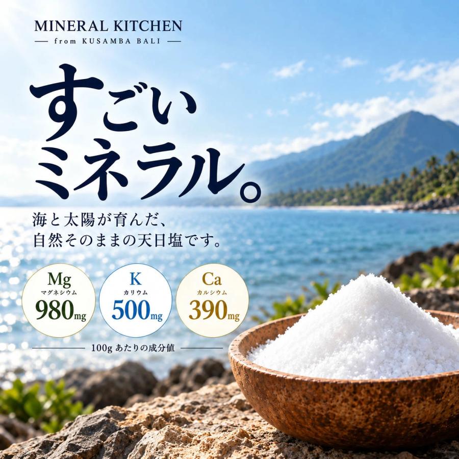 内科医 監修 天然塩 天日塩 無添加 オーガニック 非加熱 国産 にはない