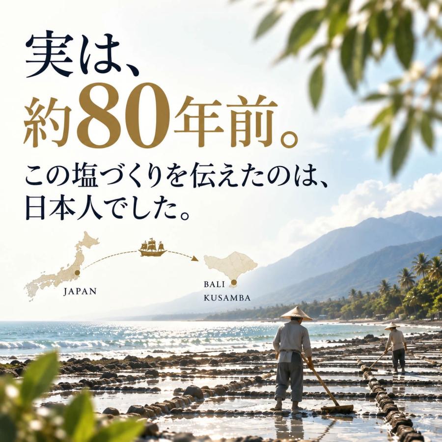 内科医 監修 天然塩 天日塩 無添加 オーガニック 非加熱 国産 にはない