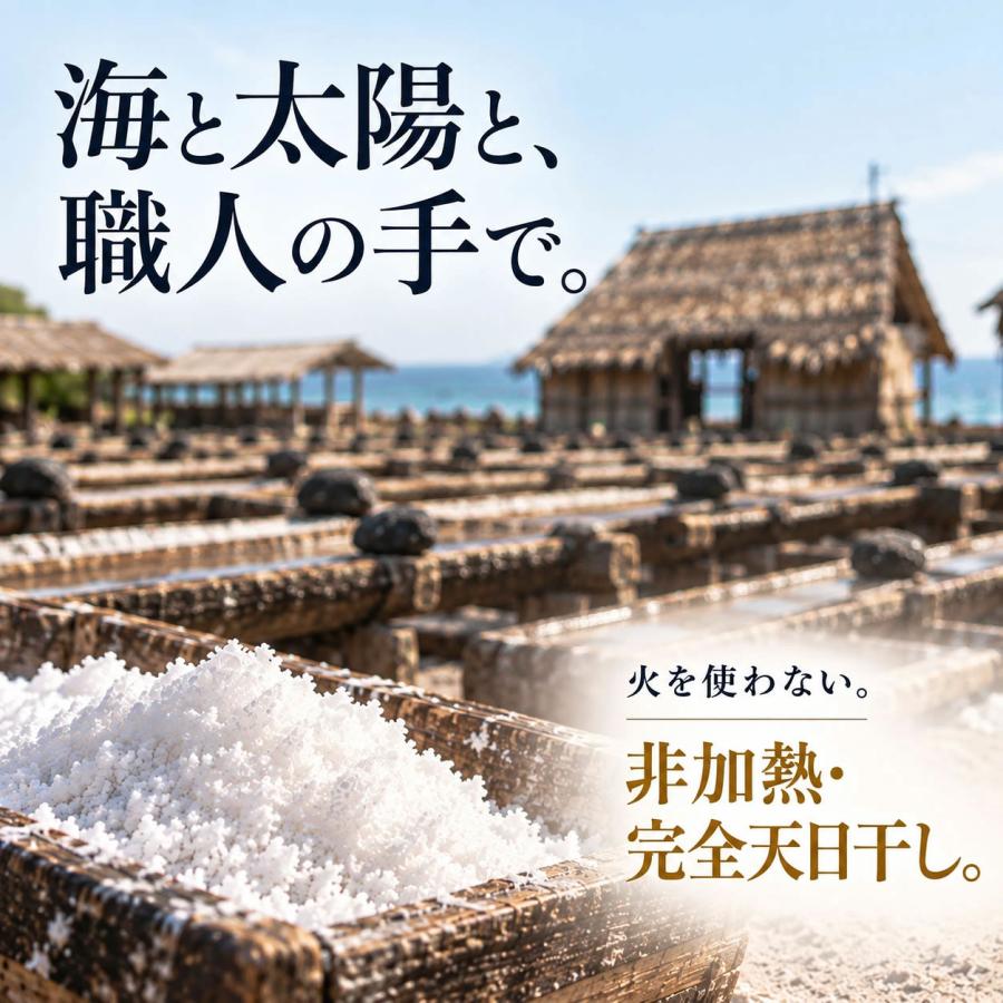 内科医 監修 天然塩 天日塩 無添加 オーガニック 非加熱 国産 にはない