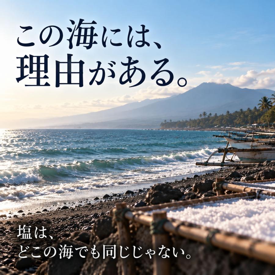 内科医 監修 天然塩 天日塩 無添加 オーガニック 非加熱 国産 にはない