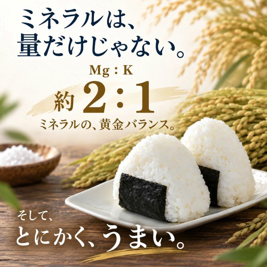 内科医 監修 天然塩 天日塩 無添加 オーガニック 非加熱 国産 にはない