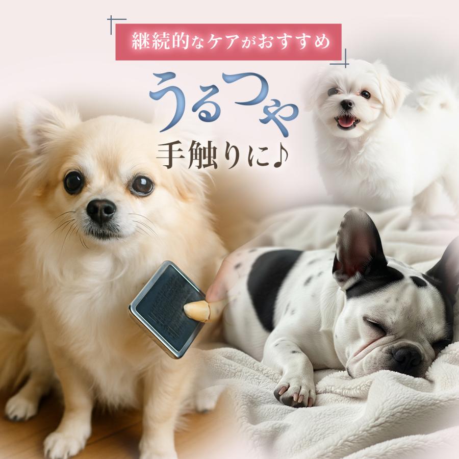 犬 オイル 舐めても安心 保湿 乾燥対策 犬 ペット わんこ肌荒れ予防 日本製 無添加 ペット 犬 ケア 国産 |  | 07