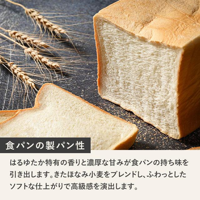 67 Off 麦まつり シルバーライズ はるゆたかブレンド kg 大袋 北海道産 小麦粉 強力粉 Wantannas Go Id