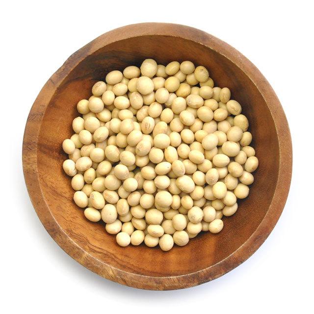 大豆 北海道産 とよむすめ 800g : ベーカリスタYahoo!店 - 通販