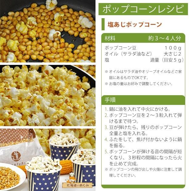 bakerista（ベーカリスタ） ポップコーン 豆 北海道産 2.5kg