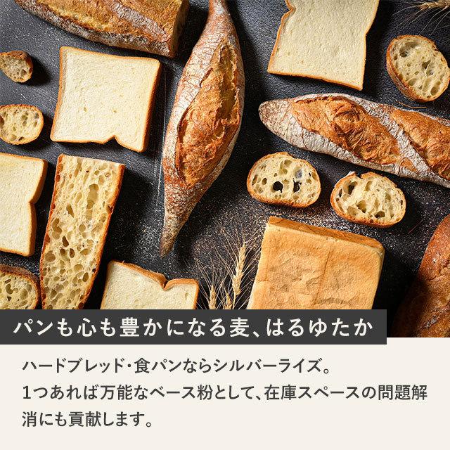 小麦粉 強力粉 シルバーライズ（はるゆたかブレンド）2.5kg 北海道産｜alnaturia｜03