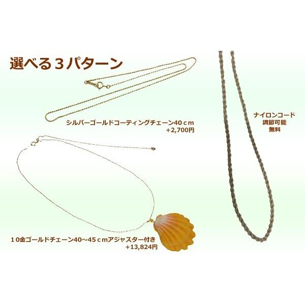 サンライズシェル ハワイの大自然が作り出した希少なサンライズシェル