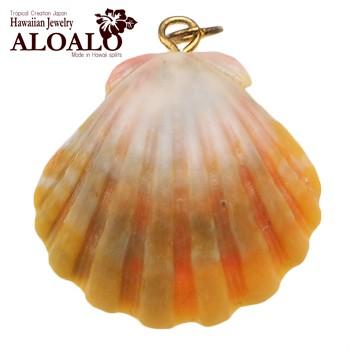 サンライズシェル ハワイの大自然が作り出した希少なサンライズシェル  