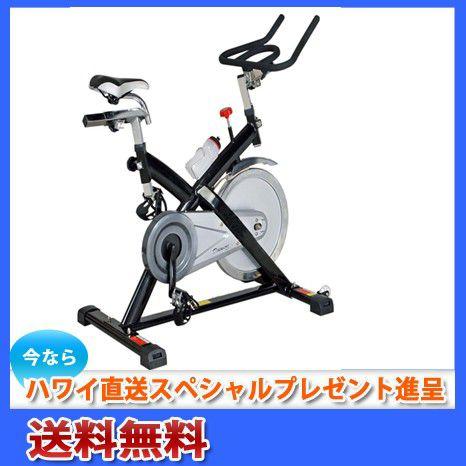 ダイコー】スピンバイク DK-8910 : dk-8910 : アロハフィット  