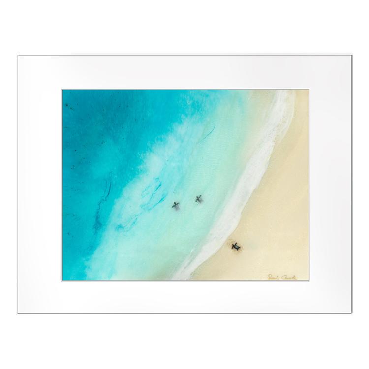 Sarah Caudle サラカードル ハワイ アート 絵画 （Island Ways