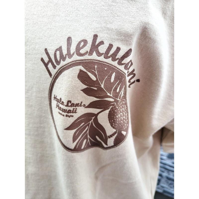 Hula Lani（フララニ） 大特価 送料無料 ハワイアンTシャツ 半袖 パン