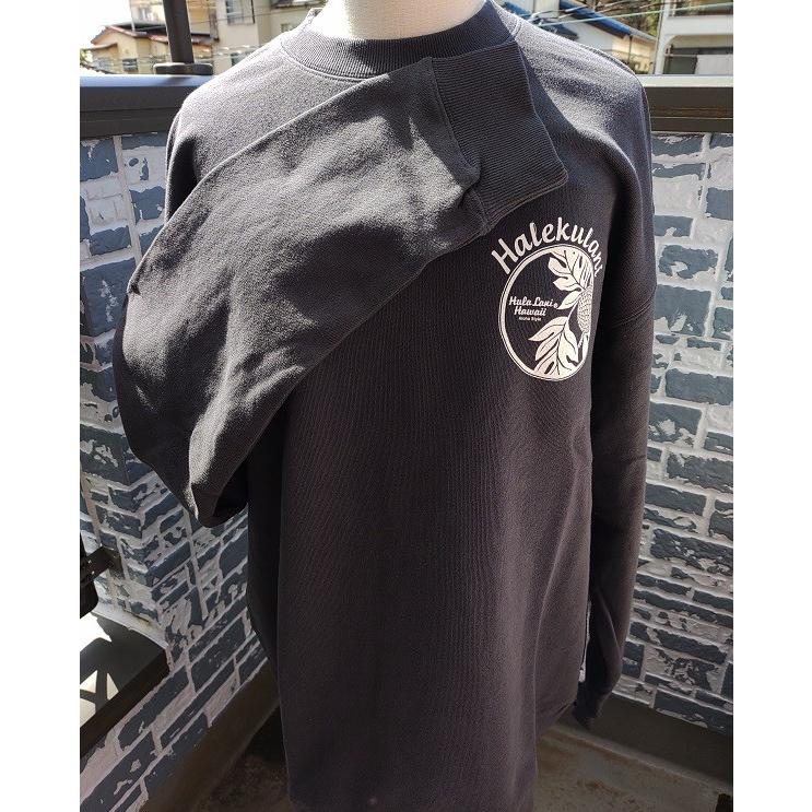 Hula Lani（フララニ） 大特価 ハワイアントレーナー メンズ