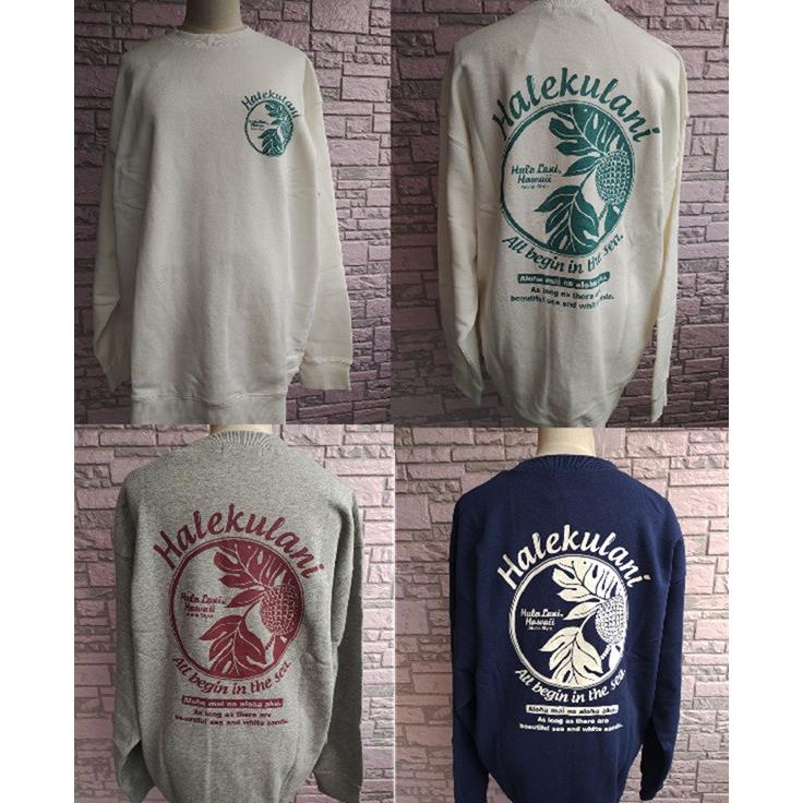 Hula Lani（フララニ） 限定割引 ハワイアントレーナー メンズ