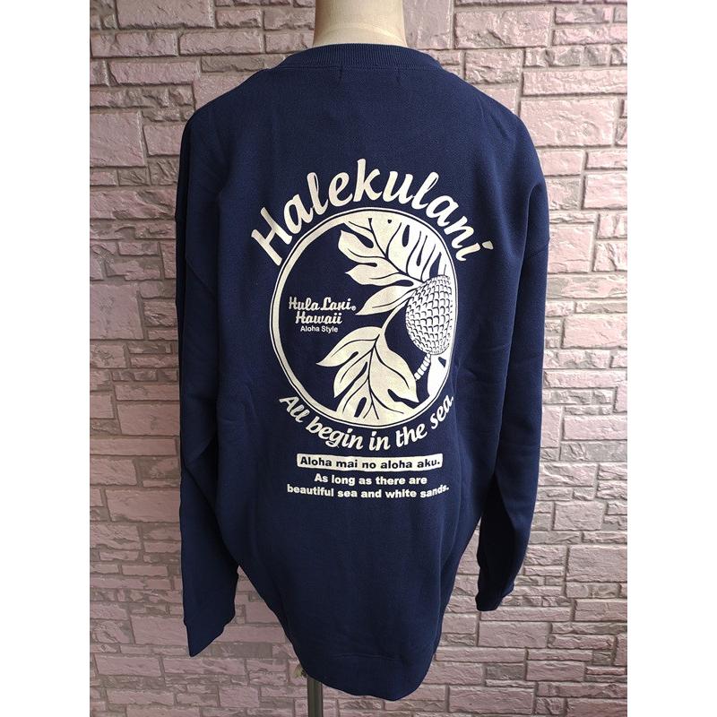 Hula Lani（フララニ） 限定割引 ハワイアントレーナー メンズ