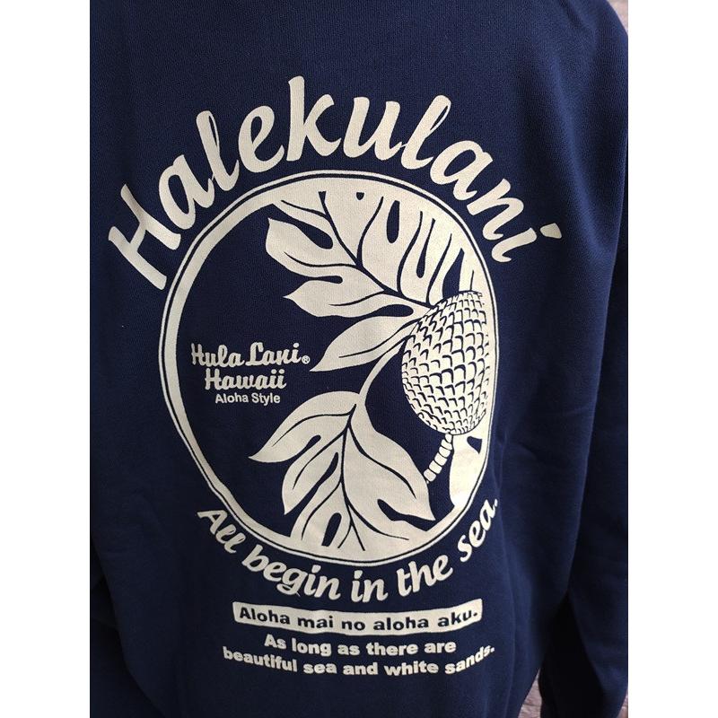 Hula Lani（フララニ） 限定割引 ハワイアントレーナー メンズ