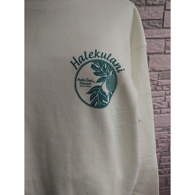 Hula Lani（フララニ） 限定割引 ハワイアントレーナー メンズ