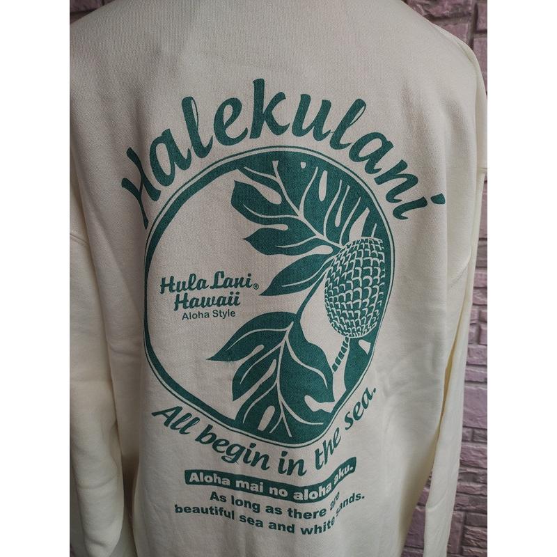 Hula Lani（フララニ） 限定割引 ハワイアントレーナー メンズ