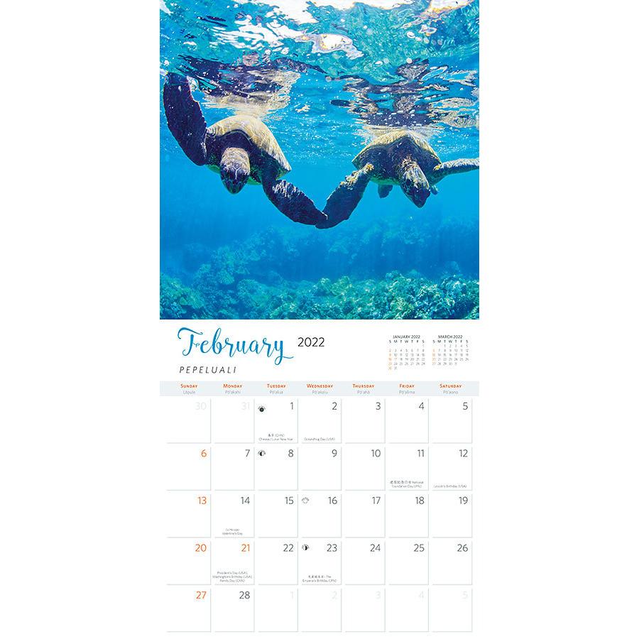 22年版 ハワイ デラックスカレンダー 12ヶ月 壁掛けカレンダー Hawaiian Sea Turtles ホヌ 亀 22cld123 アロハ日和 通販 Yahoo ショッピング