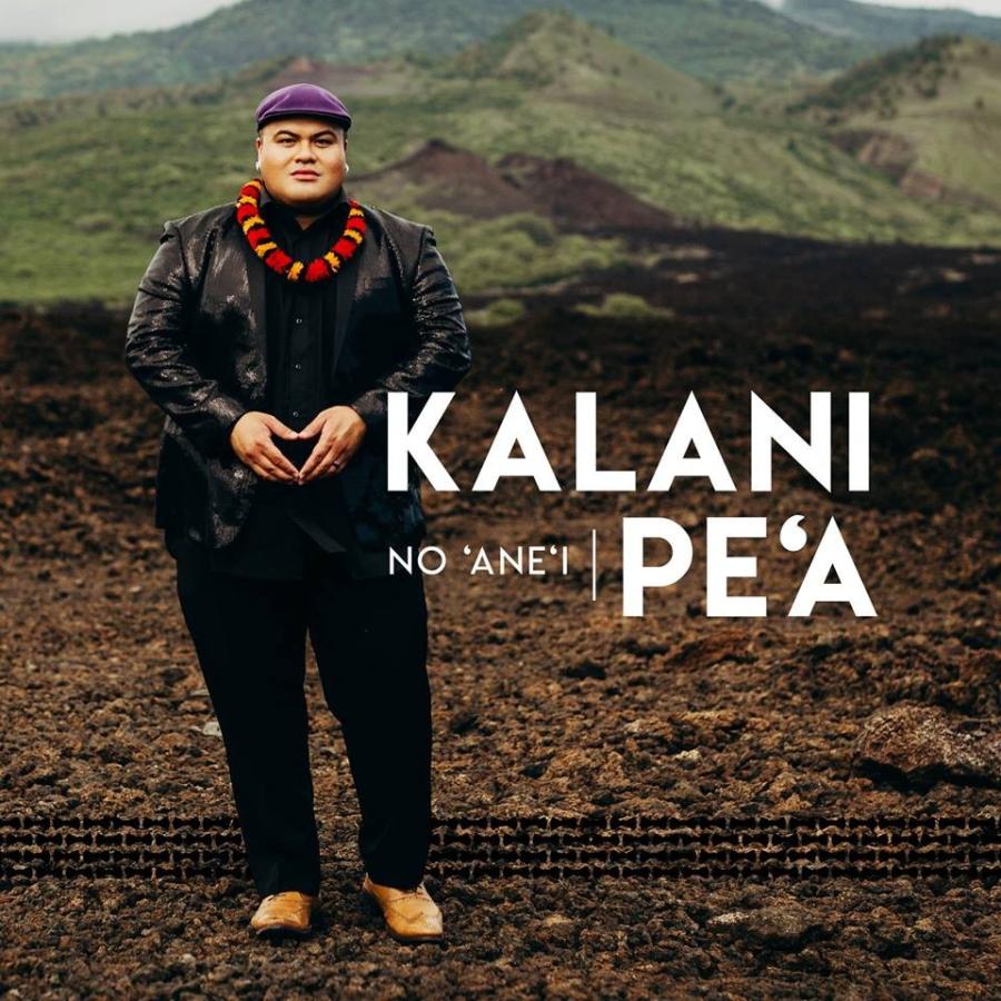 2枚で送料無料 No 'Ane'i / Kalani Pe'a （ノ アネィイ カラニ ペア