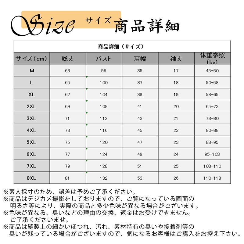 人気 おすすめ 冷感インナー 接触冷感 メンズ 2枚セット クール 大きいサイズ Tシャツ 半袖 ひんやり ストレッチ ゆったり 吸汗速乾 通気 軽量 トップス 運動 Aynaelda Com