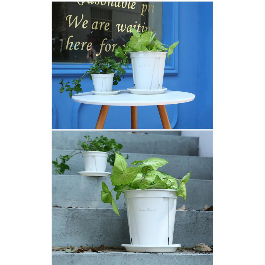 植木鉢 プランター プラ鉢 受け皿付き トレイ付き 18cm 3個入り 植木鉢 プランター プラ鉢 受け皿付き トレイ付き 18cm 3個入り