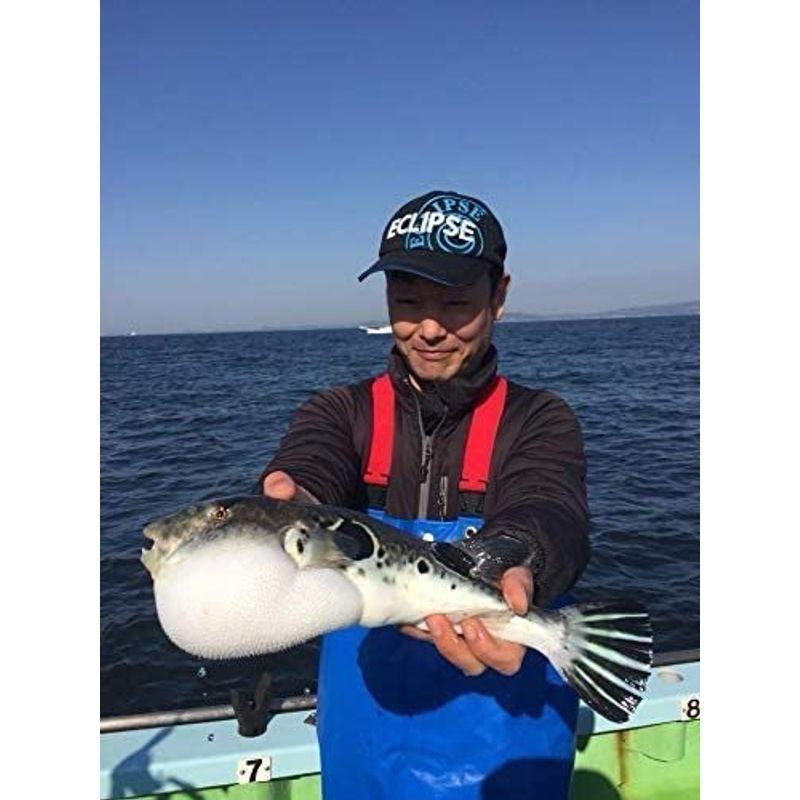 エクリプス(ECLIPSE) ケイノン グローボ 165 ECLIPSE ケイノン グローボ