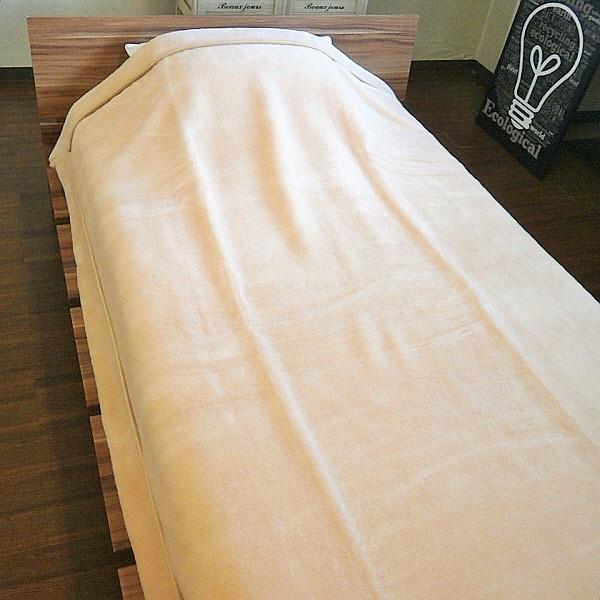 西川（nishikawa） ウール毛布 西川の洗えるウール毛布 ウオッシャブル