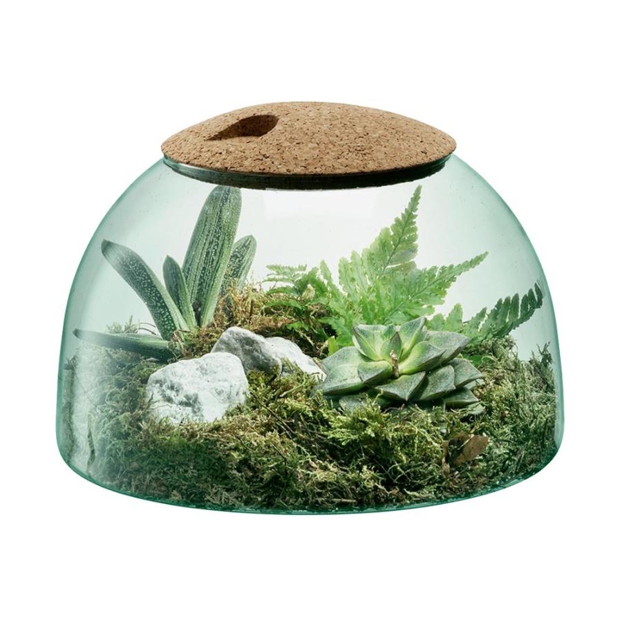 LSA LSA CANOPY キャノピー Closed Garden プランター G1580-16-161