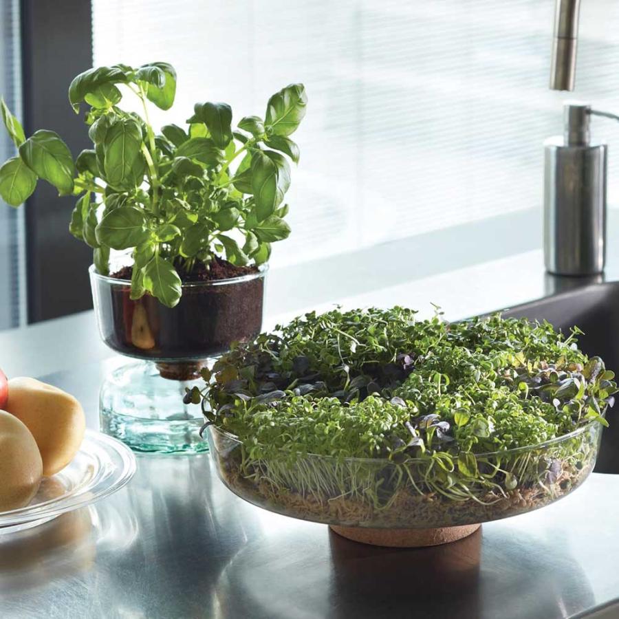 LSA LSA CANOPY キャノピー Self Water Planter プランター G1579-13
