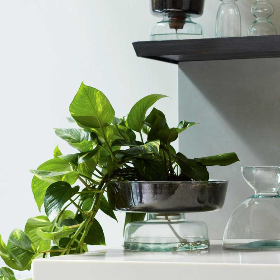 LSA CANOPY キャノピー Self Water Planter プランター G1579-15-161 LCQ17 / エルエスエー 花器 花瓶 フラワーベース_4