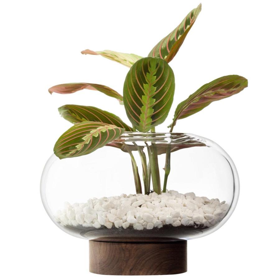 LSA OBLATE オブレート Vase G1718-19-301 クリア H19.5cm LOB12 エルエスエー フラワーベース 花器 花瓶_2