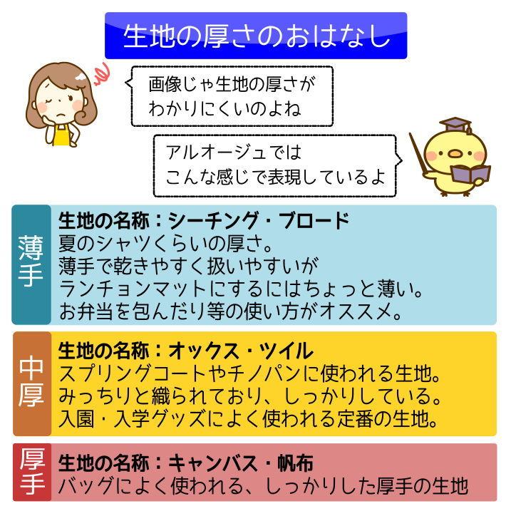 25×35 ランチョンマット 子供用 （ギンガム） 男の子 女の子 ナフキン