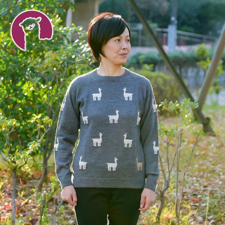 アルパカ ニット セーター レディース アルパカ100％ MSW-56 :msw-56:ALPACA STYLE - 通販 - Yahoo!ショッピング