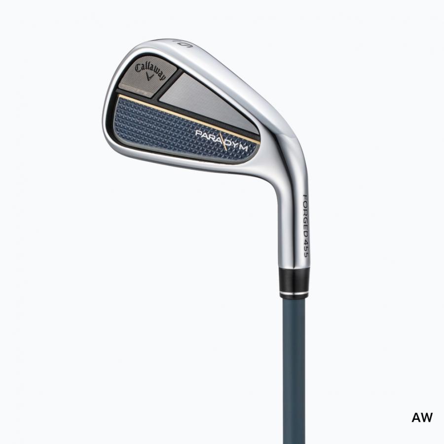 キャロウェイ パラダイム PARADYM アイアン ゴルフ 単品アイアン Dynamic Gold 85 VSS PRO S200 2023年モデル メンズ Callaway｜alpen-group｜04