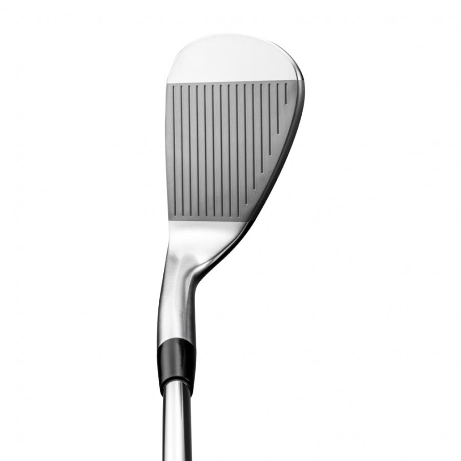 MIZUNO（ミズノ） The Craft Wedge ゴルフ ウェッジ PROJECT X 5.5 52