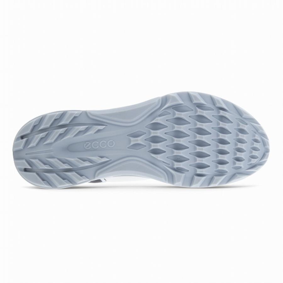 ecco エコー ゴルフシューズ バイオム C4 ボア BIOM BOA ecco エコー ゴルフシューズ バイオム C4 ボア BIOM BOA