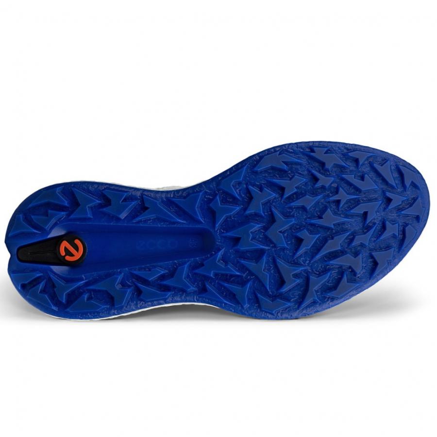 ecco エコー ゴルフシューズ バイオム BIOM ボア H5 EG138014