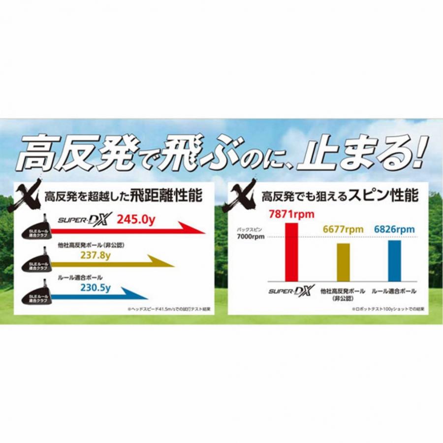 ★超希少★ ドクロが輝くワル専用! 実質高反発の激飛び適合! ダイナゴルフ 悪童 WORKS Golf - 新登場! ドラコン飛匠仕様 ドクロ輝く超高反発の