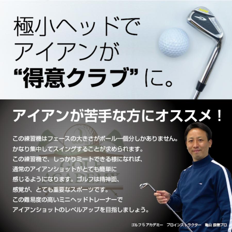 TIGORA（ティゴラ） ミニヘッドトレーナー スイング ゴルフ練習機
