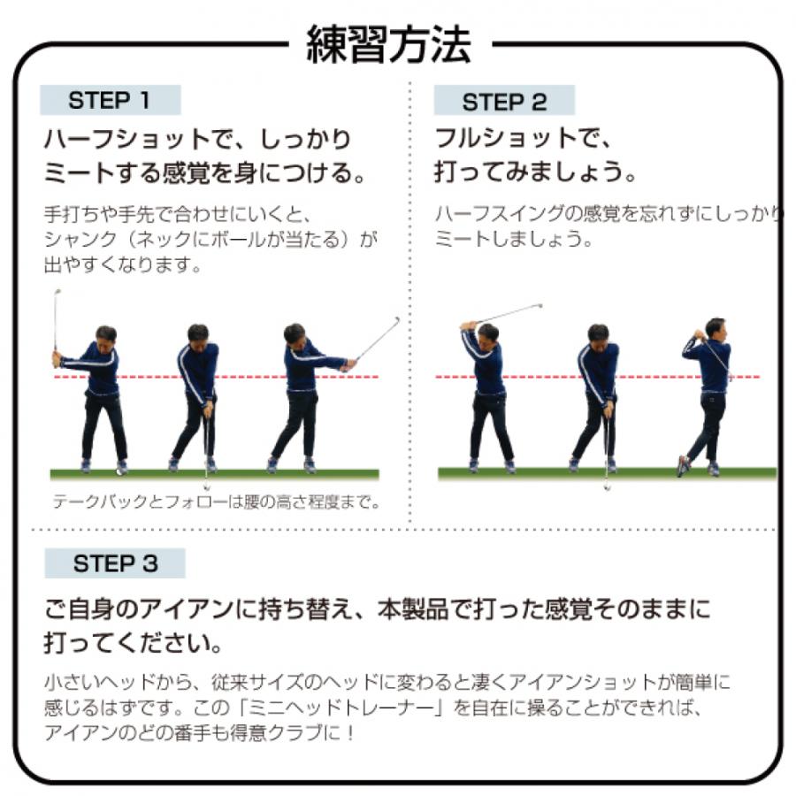 TIGORA ティゴラ ミニヘッドトレーナー スイング ゴルフ練習機