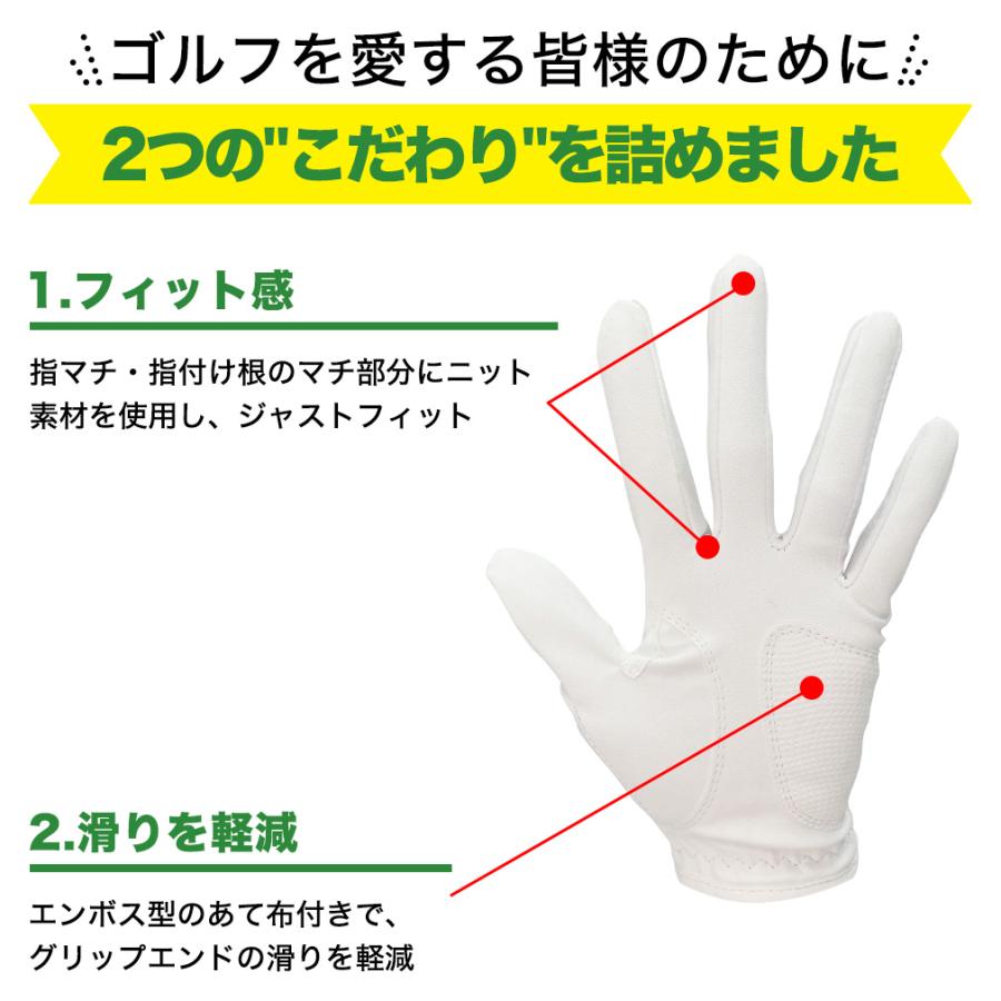 Kolwin（コルウィン） 5枚セット レディース ゴルフウェア ゴルフ