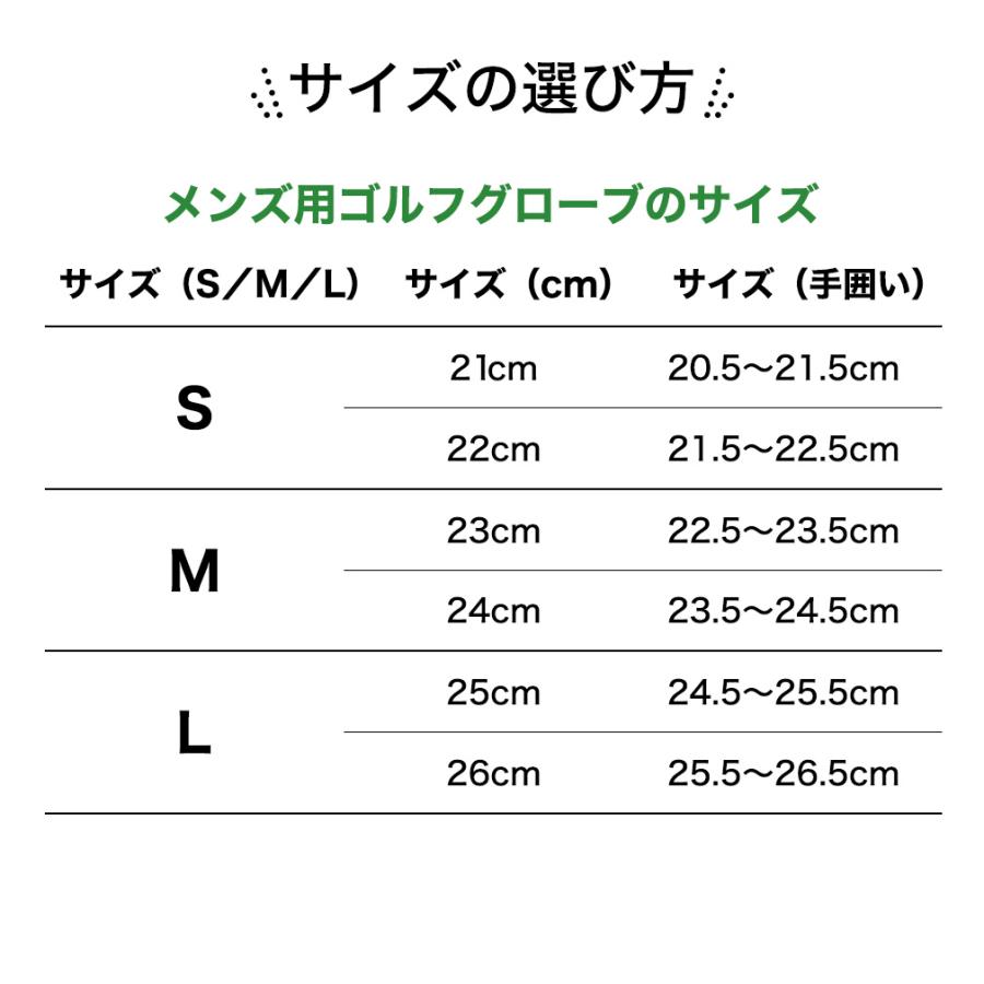 IGNIO（イグニオ） ゴルフウェア ゴルフグローブ 全天候 グローブ IG