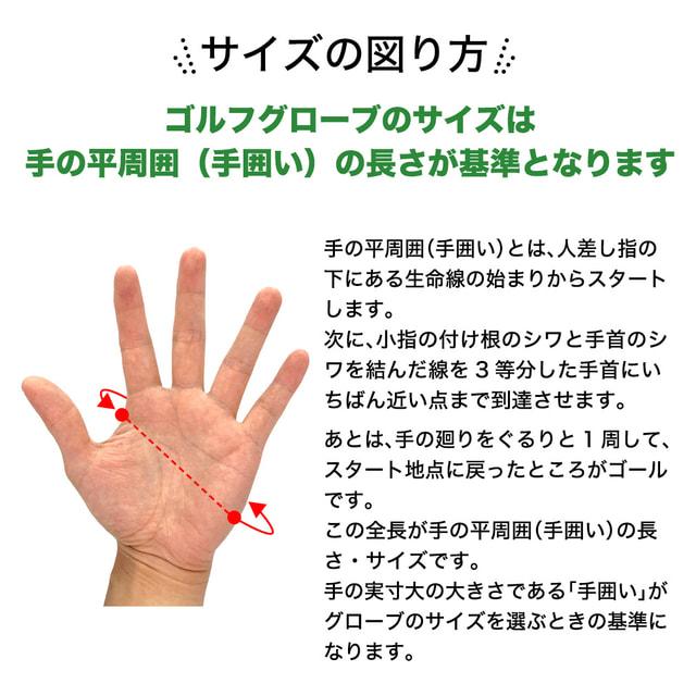 IGNIO（イグニオ） ゴルフウェア ゴルフグローブ グローブ 1856064110