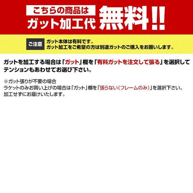 Wilson（ウイルソン） 国内正規品 BLADE 104 V9.0 ブレード 104 V9