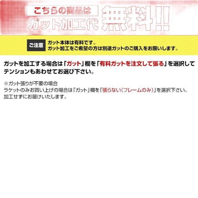 ★サクラカラー エンブレム120 G2 ケース付き 国内正規品・新品 Prince（プリンス） 国内正規品 EMBLEM120 限定カラー SAKURA