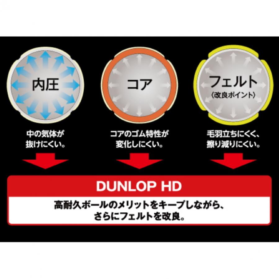 ダンロップ HD プレッシャーライズド 4球入 DHD4TIN 硬式テニス テニスボール プレッシャーボール DUNLOP|alpen-group|05