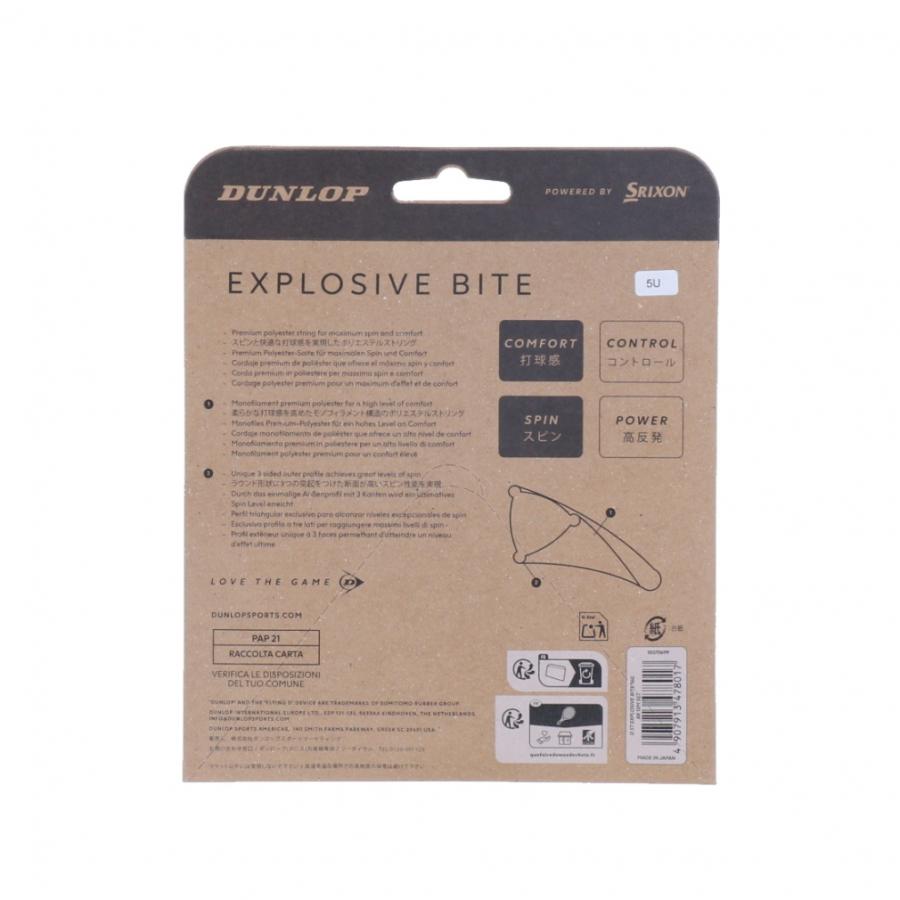 DUNLOP（ダンロップ） エクスプロッシブ・バイト EXPLOSIVE BITE EBITE