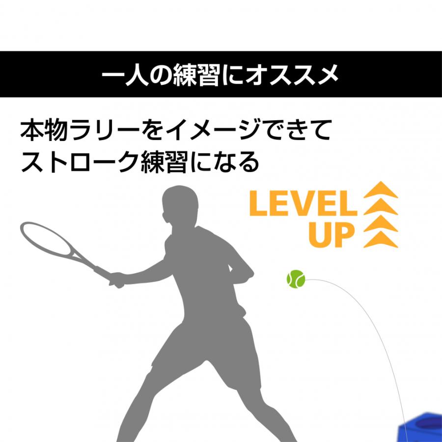 TIGORA（ティゴラ） 硬式テニストレーナー 練習用ゴム付きボール